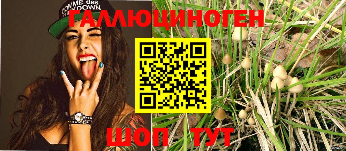 Нягань  Псилоцибиновые грибы Psilocybe  Вход с VPN 